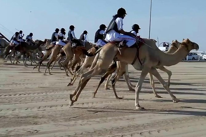 Sunset Keshta at Zekreet | Art, Adventure & Arabian Picnic - Key Highlights You’ll Actually Care About