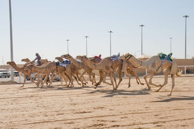 Sunset Keshta at Zekreet | Art, Adventure & Arabian Picnic - The Desert Driving Part: Fun Dune Bashing, with One Smart Caveat