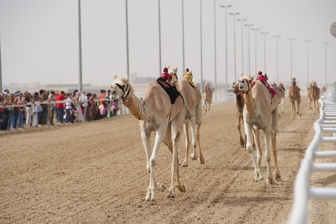 Sunset Keshta at Zekreet | Art, Adventure & Arabian Picnic - What You Get for $122: Value Breakdown and What to Add