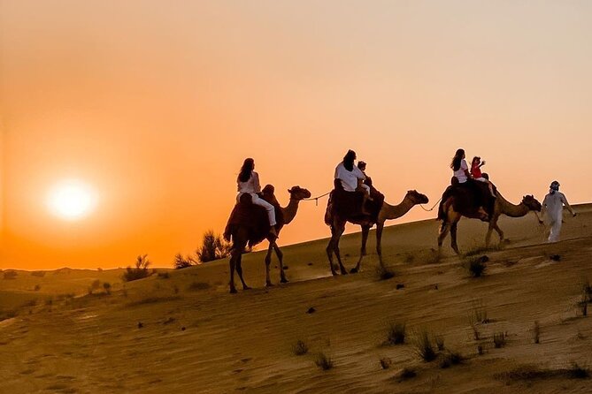 Thrilling 4-Hour Dune Bashing & Camel Ride Safari to Inland Sea - Sealine Beach camel camp: short ride time, real desert atmosphere