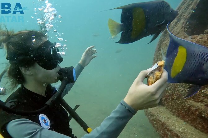 Try Scuba dive in Qatar - Your 2-Hour Try Scuba Session, Step By Step