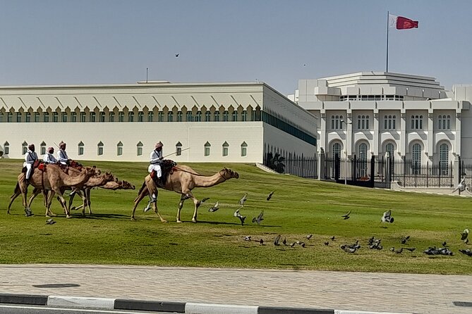 Walking Tour: Discover Souq Waqif, An Almost Free Walking Tour - Why a free Souq Waqif walk is a smart first day in Doha