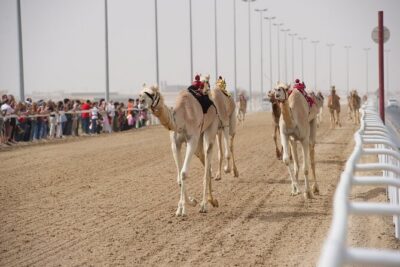 West Coast and Camel Race Track Visit