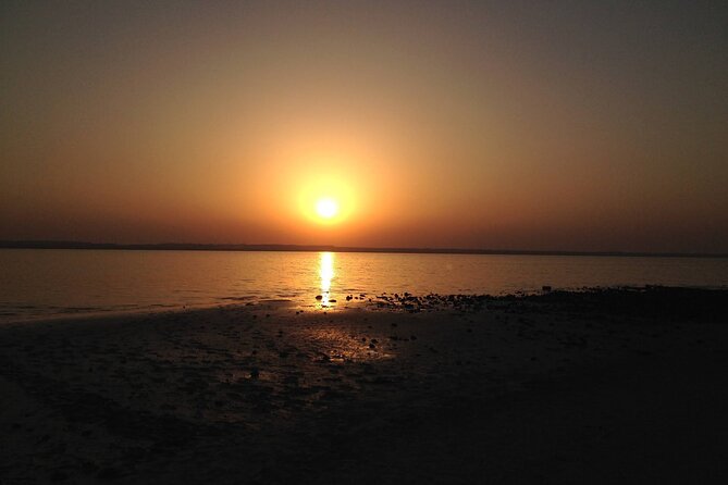 West Coast and Camel Race Track Visit - Pickup, private group, and mobile ticket, plus comfort