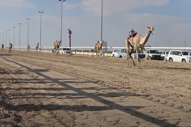 West Of Qatar, Mushroom Rocks, Camel Racing Track, Richard Serra - Stop 2: Zekreet Fort Ruins, Faroush Stones, and Corner Towers