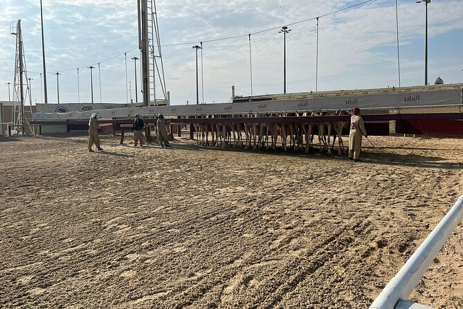 West Of Qatar, Mushroom Rocks, Camel Racing Track, Richard Serra - Price and Value: Is $66 a Good Deal?