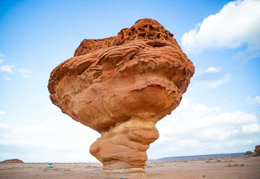 West of Qatar Richard Serra, Mushroom Hills, CamelRace track - Why West of Qatar Works So Well for a Short 4-Hour Trip