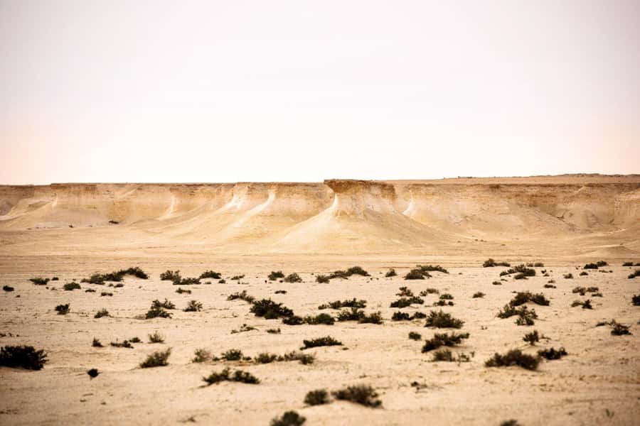 West of Qatar Richard Serra, Mushroom Hills, CamelRace track - Final Verdict: Should You Book This Tour?