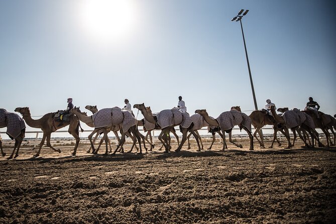 West Of Qatar Richard Serra sculpture, Mushroom Hills,Camel track - Who should book this tour, and who might want to adjust expectations