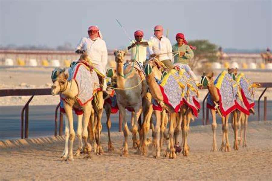West Qatar-Doha Richard sierra,camel race,mushroom rock - Al Shahaniya Camel Racetrack: A Quick Look at Racing Country